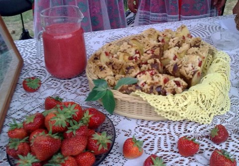 DROŻDŻOWIEC TRUSKAWKOWY Z TARNAWY